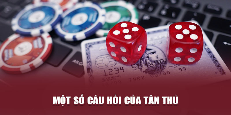 Một số câu hỏi của tân thủ