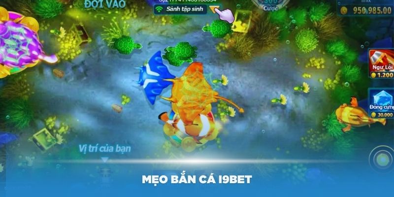 Một số mẹo bắn cá i9Bet tốt nhất bạn nên biết