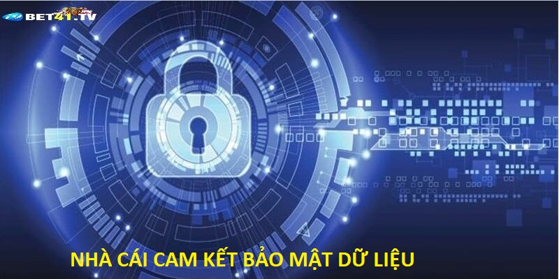 Nhà cái luôn cam kết bảo mật dữ liệu người dùng