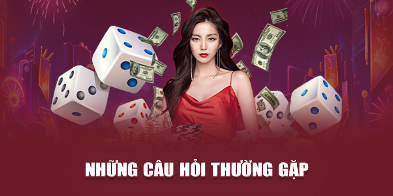 Những câu hỏi thường gặp