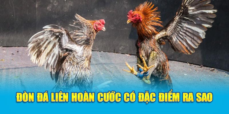 Đòn đá liên hoàn cước có đặc điểm ra sao