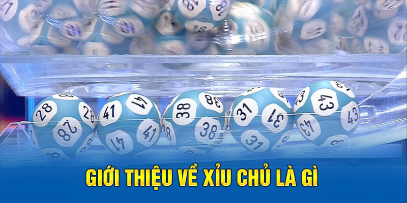 Giới thiệu về xỉu chủ là gì