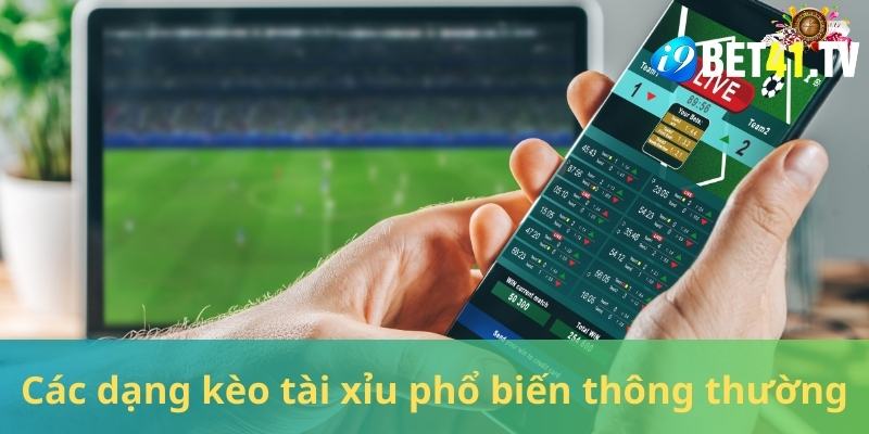 Nhiều dạng tỷ lệ theo từng trận đấu