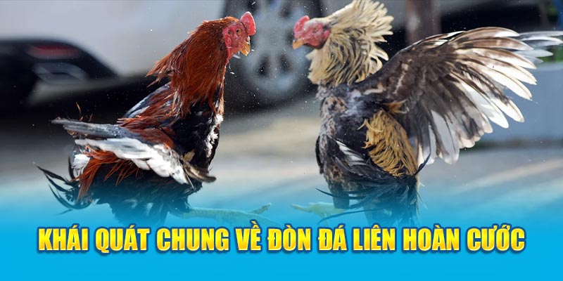 Khái quát chung về đòn đá liên hoàn cước