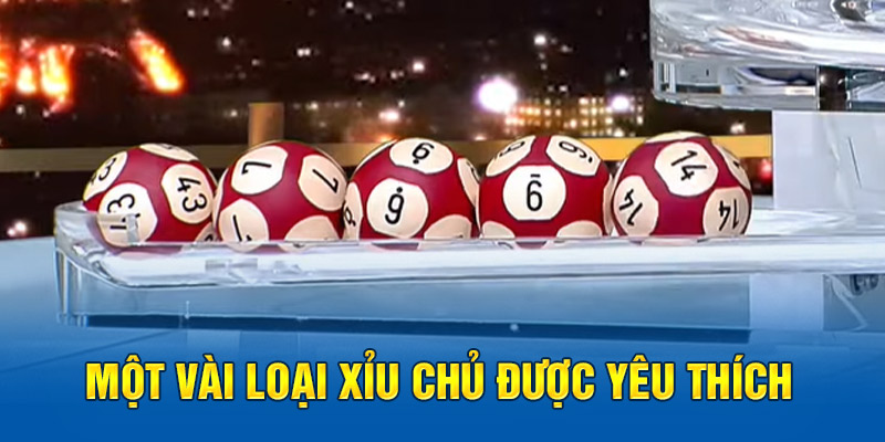 Một vài loại xỉu chủ được yêu thích