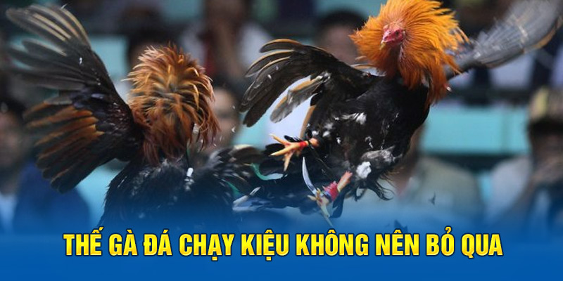 Thế gà đá chạy kiệu không nên bỏ qua