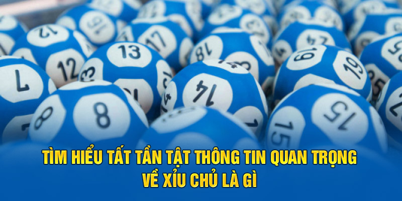 Tìm Hiểu Tất Tần Tật Thông Tin Quan Trọng Về Xỉu Chủ Là Gì